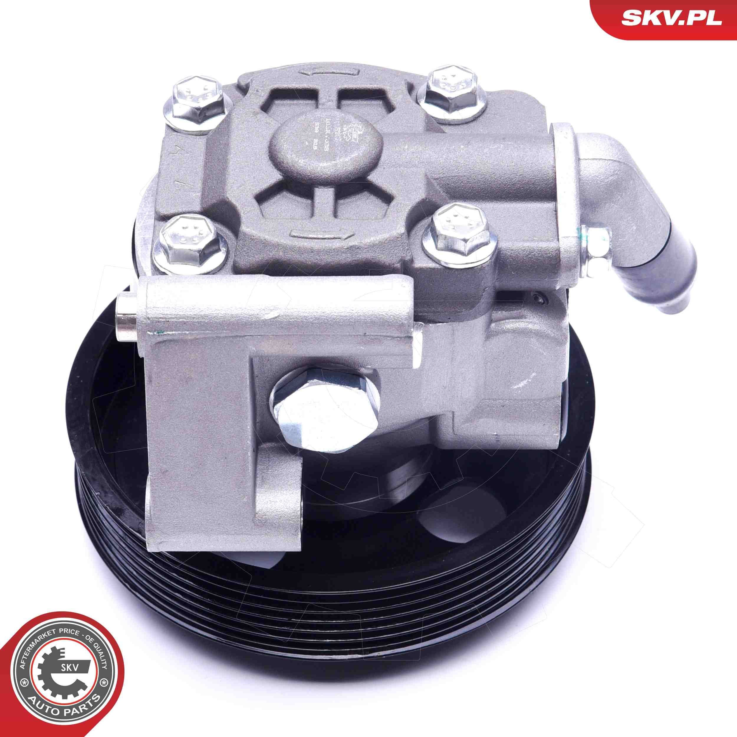 10SKV038 SKV
